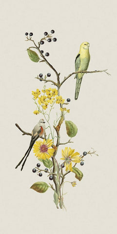 Nostalgic Birds I White Modern Wood Framed Art Print with Double Matting by Haase, Andrea