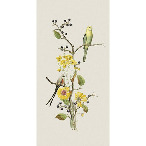 Nostalgic Birds I Black Modern Wood Framed Art Print by Haase, Andrea