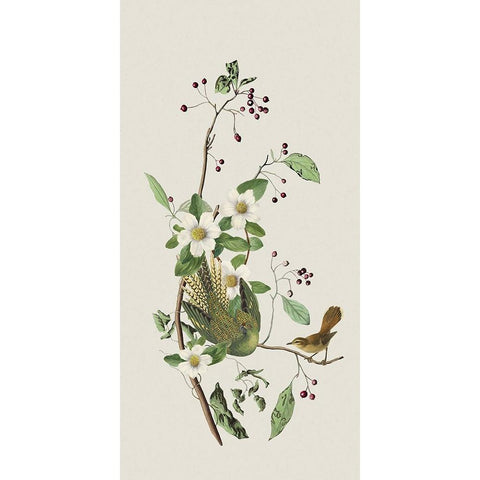 Nostalgic Birds II White Modern Wood Framed Art Print by Haase, Andrea