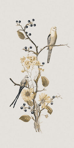 Nostalgic Birds III Black Ornate Wood Framed Art Print with Double Matting by Haase, Andrea