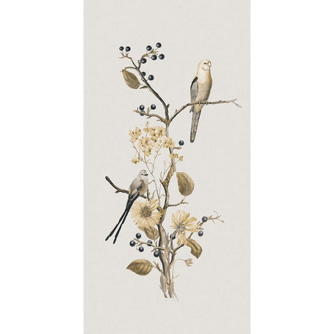 Nostalgic Birds III White Modern Wood Framed Art Print by Haase, Andrea