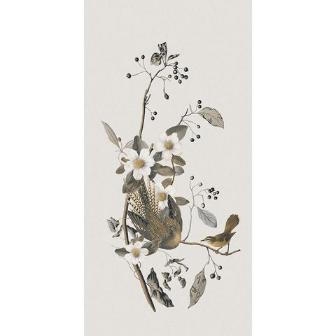 Nostalgic Birds IV Gold Ornate Wood Framed Art Print with Double Matting by Haase, Andrea