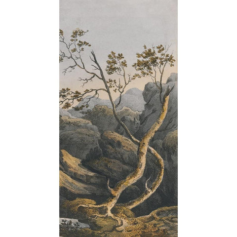 Chinese Landscape I Black Modern Wood Framed Art Print with Double Matting by Haase, Andrea