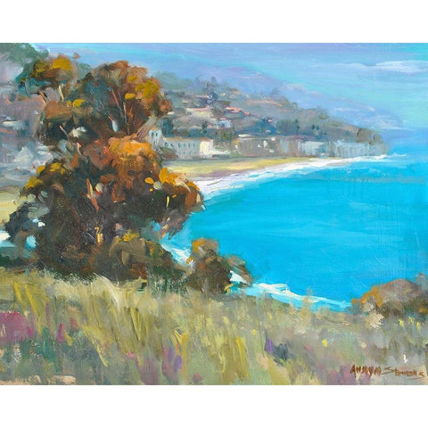 South Coastal Black Modern Wood Framed Art Print by Stevens, Allayn