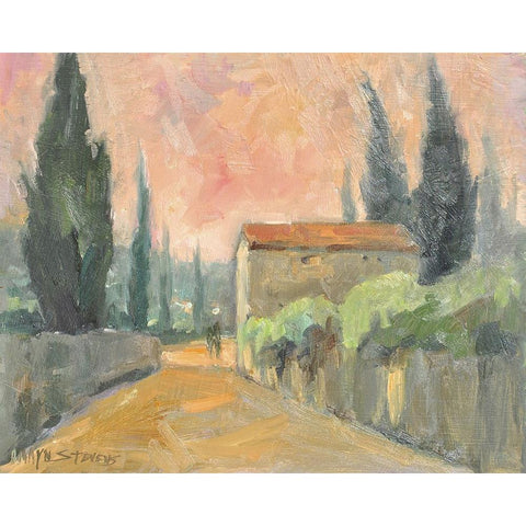 Tuscan Farmhouse Black Modern Wood Framed Art Print by Stevens, Allayn