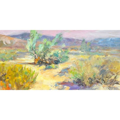 Desert Garden Black Modern Wood Framed Art Print with Double Matting by Stevens, Allayn