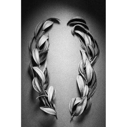 Brackets White Modern Wood Framed Art Print by Rosenthal, Berry