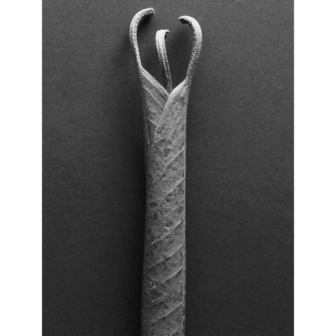 Mountain Laurel Leaves ll Black Modern Wood Framed Art Print with Double Matting by Rosenthal, Berry