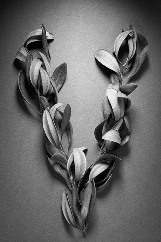 Victory White Modern Wood Framed Art Print with Double Matting by Rosenthal, Berry