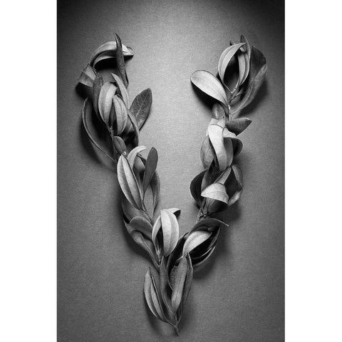 Victory White Modern Wood Framed Art Print by Rosenthal, Berry