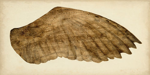 Gilded Night Owl I Black Ornate Wood Framed Art Print with Double Matting by Vision Studio