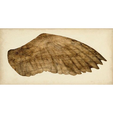 Gilded Night Owl I Black Modern Wood Framed Art Print with Double Matting by Vision Studio