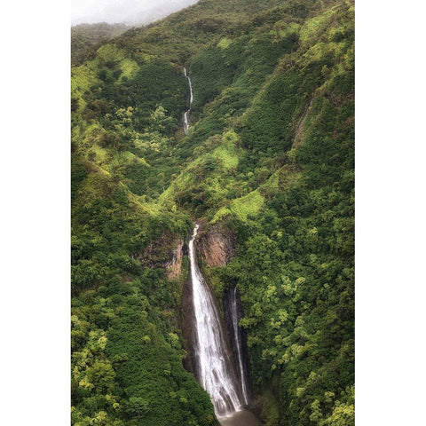 Jarassic Falls White Modern Wood Framed Art Print by Head, Danny