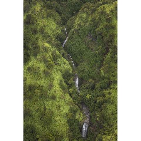 Ribbon Streams I Black Modern Wood Framed Art Print with Double Matting by Head, Danny