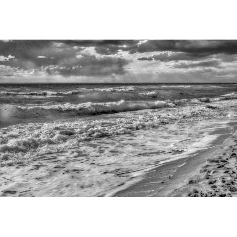 Hollywood Beach Florida  III Gold Ornate Wood Framed Art Print with Double Matting by Kearney, Franklin