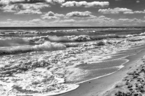 Hollywood Beach Florida  IV Black Ornate Wood Framed Art Print with Double Matting by Kearney, Franklin