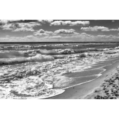 Hollywood Beach Florida  IV Gold Ornate Wood Framed Art Print with Double Matting by Kearney, Franklin