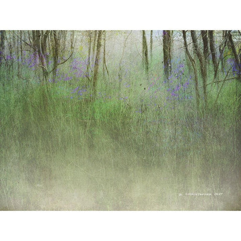 Glimpse of the Lake White Modern Wood Framed Art Print by Vest, Chris