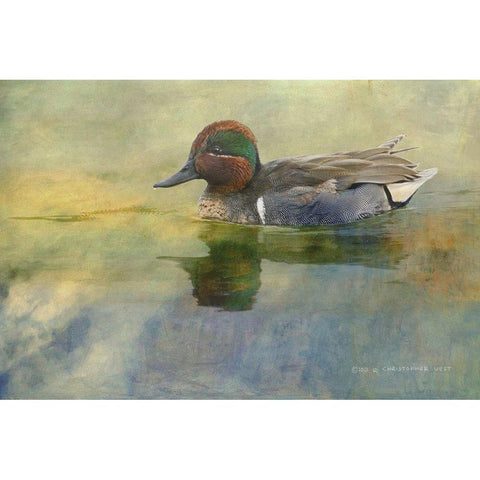 Green Teal Drake Gold Ornate Wood Framed Art Print with Double Matting by Vest, Chris