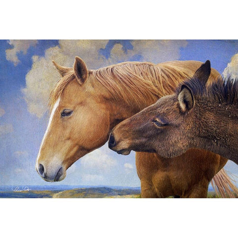 Horse and Mule White Modern Wood Framed Art Print by Vest, Chris