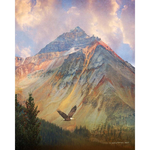 In the Southern San Juan Mountains White Modern Wood Framed Art Print by Vest, Chris
