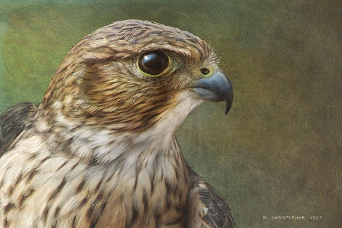 Merlin Portrait Black Ornate Wood Framed Art Print with Double Matting by Vest, Chris