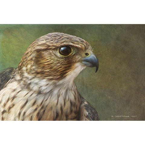 Merlin Portrait Gold Ornate Wood Framed Art Print with Double Matting by Vest, Chris