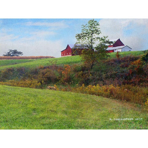 Ohio Barn with Red Fox Gold Ornate Wood Framed Art Print with Double Matting by Vest, Chris