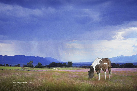 Paint Horse in Bliss White Modern Wood Framed Art Print with Double Matting by Vest, Chris