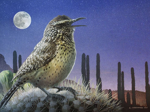 Saguaro Cactus Wren by Moonlight White Modern Wood Framed Art Print with Double Matting by Vest, Chris