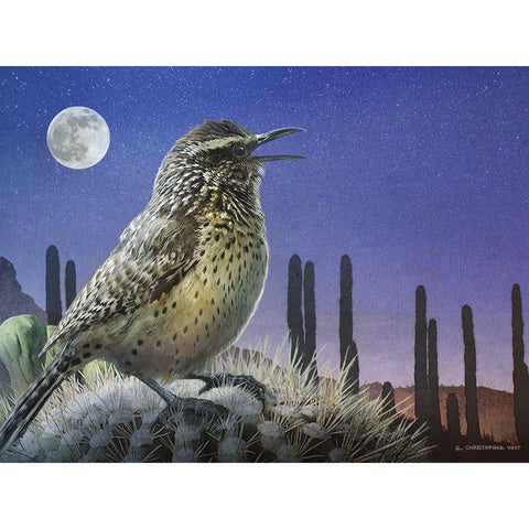 Saguaro Cactus Wren by Moonlight Black Modern Wood Framed Art Print by Vest, Chris