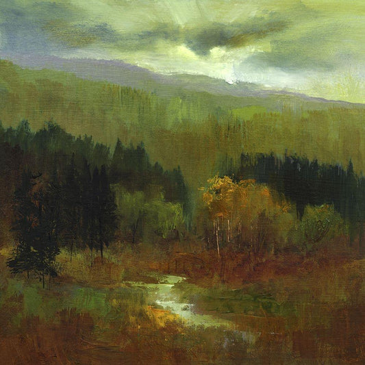 Image Only