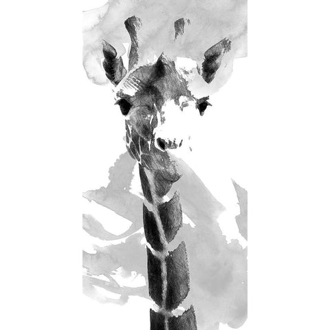 Giraffe study  II Black Modern Wood Framed Art Print with Double Matting by Saunders, Alonzo