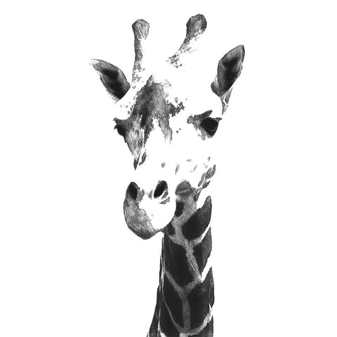 Giraffe study  III Black Modern Wood Framed Art Print with Double Matting by Saunders, Alonzo