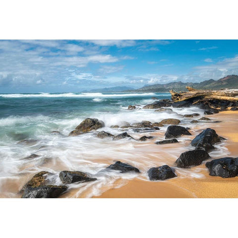 Sunny Retreat I Black Modern Wood Framed Art Print with Double Matting by Head, Danny