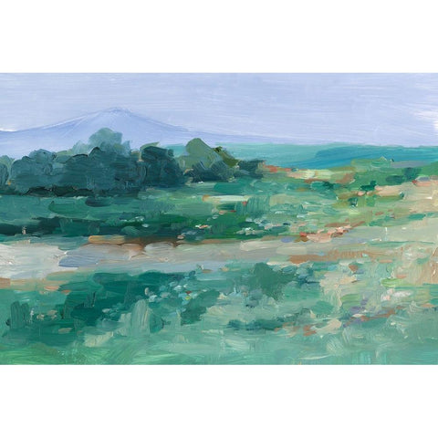 Impressionist Wildflower Field I Black Modern Wood Framed Art Print by Harper, Ethan