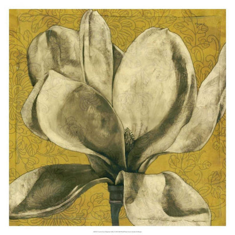 Ecru Magnolia I White Modern Wood Framed Art Print by Goldberger, Jennifer