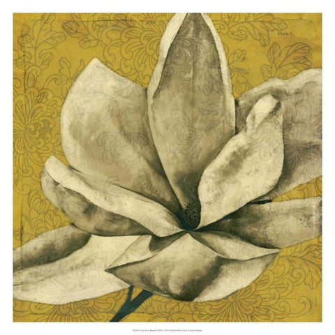 Ecru Magnolia II Black Modern Wood Framed Art Print by Goldberger, Jennifer