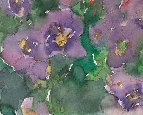 The Language of Violets II White Modern Wood Framed Art Print with Double Matting by Dixon, Samuel