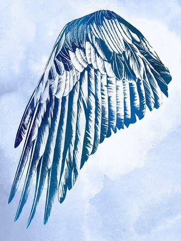 Wings in the Clouds I Black Ornate Wood Framed Art Print with Double Matting by Vision Studio