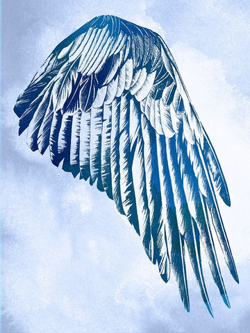 Wings in the Clouds II Black Ornate Wood Framed Art Print with Double Matting by Vision Studio