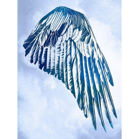 Wings in the Clouds II Black Modern Wood Framed Art Print with Double Matting by Vision Studio