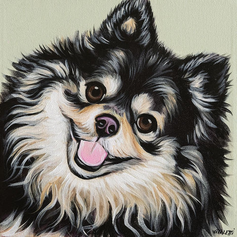 Black and Tan Pomeranian White Modern Wood Framed Art Print with Double Matting by Vitaletti, Carolee