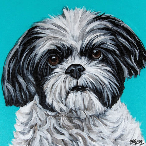 Black and White Shih Tzu Black Ornate Wood Framed Art Print with Double Matting by Vitaletti, Carolee