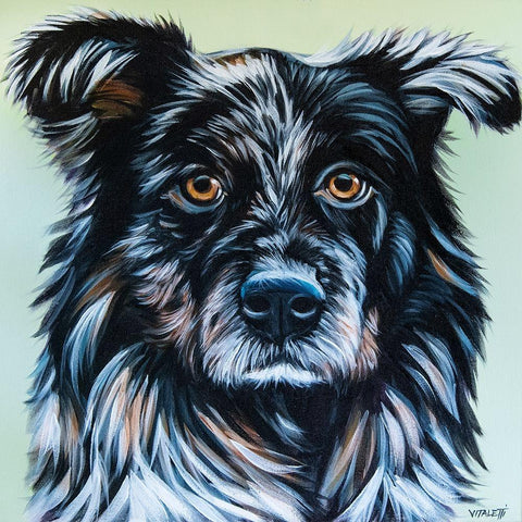 Realistic Australian Shepard White Modern Wood Framed Art Print by Vitaletti, Carolee