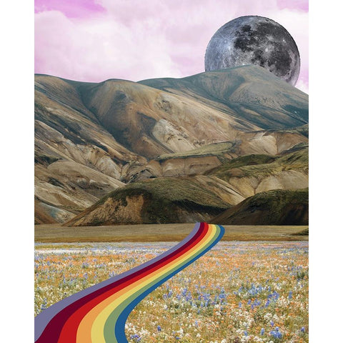 Rainbow Field I Black Modern Wood Framed Art Print with Double Matting by Wang, Melissa