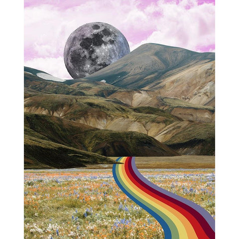 Rainbow Field II Black Modern Wood Framed Art Print with Double Matting by Wang, Melissa