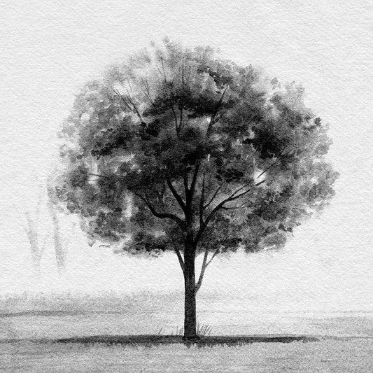 Image Only