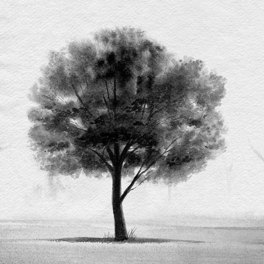 Image Only