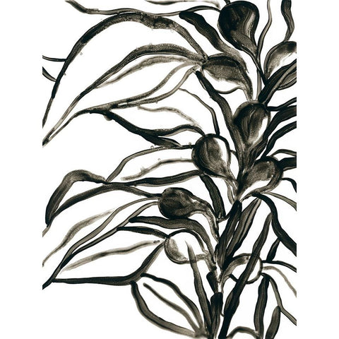 Kelp Contour I Black Modern Wood Framed Art Print with Double Matting by Vess, June Erica